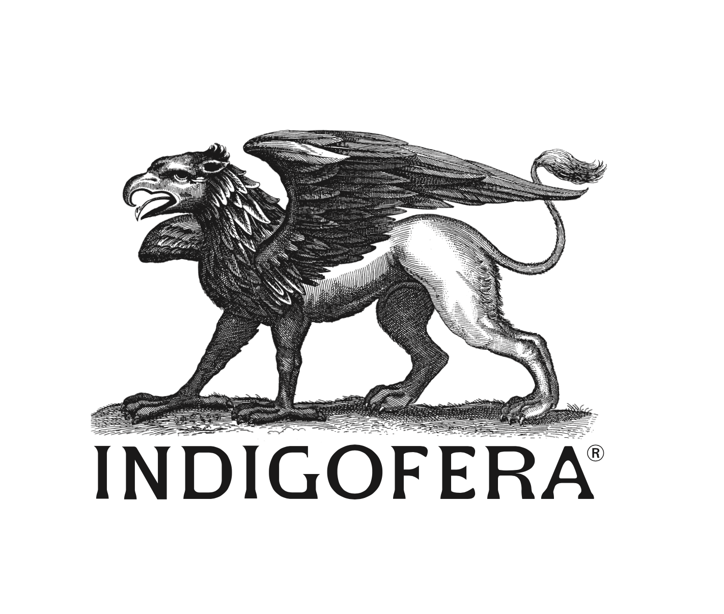 Indigofera - Made in Portugal