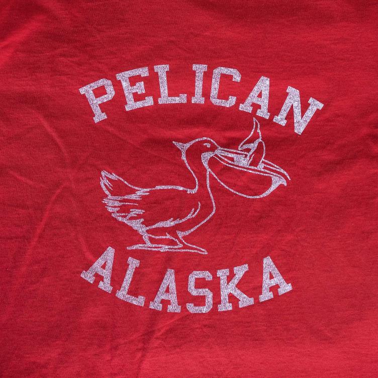 Pelikan Alaska Cotton S/S Tee Men - 1